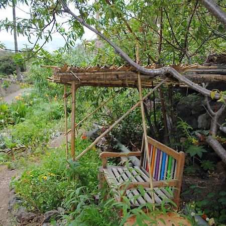 Hostal Casa Amaya Vallehermoso Eksteriør billede